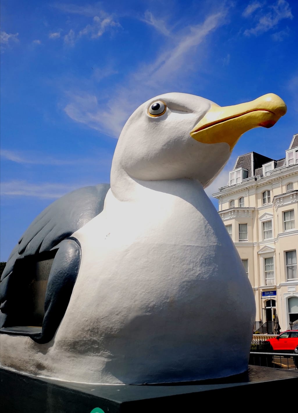 Large Seagull - Folkestone in Kent